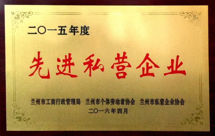 2015年度先進(jìn)私營..